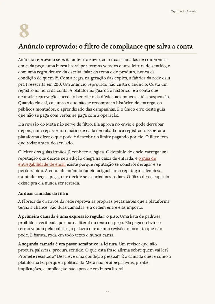 Página 56 do guia Criativos de anúncio, capítulo 8
