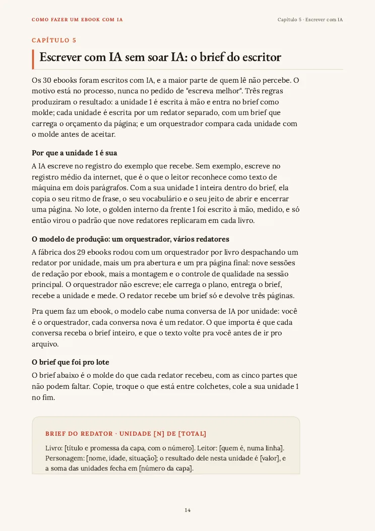Página 14 do guia Como fazer um ebook, capítulo 5