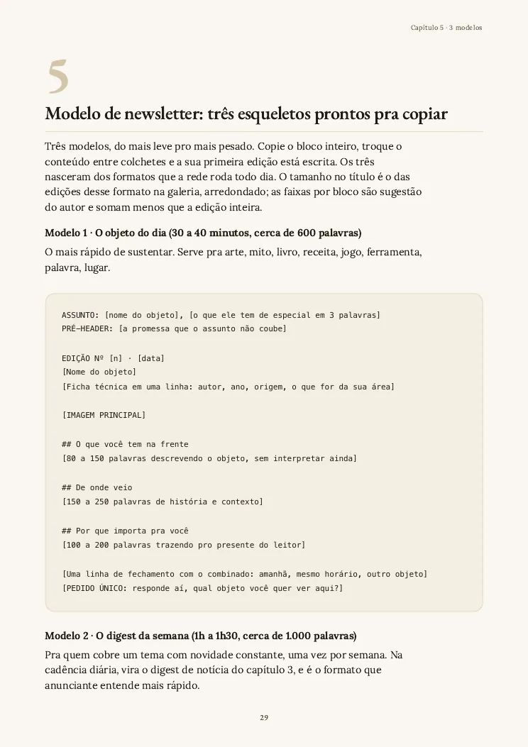 Página 29 do guia Newsletter do zero, capítulo 5