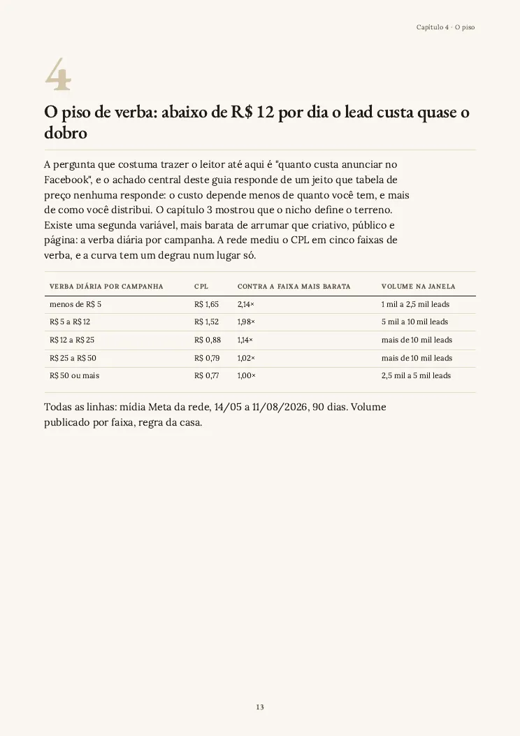 Página 13 do guia Tráfego pago, capítulo 4