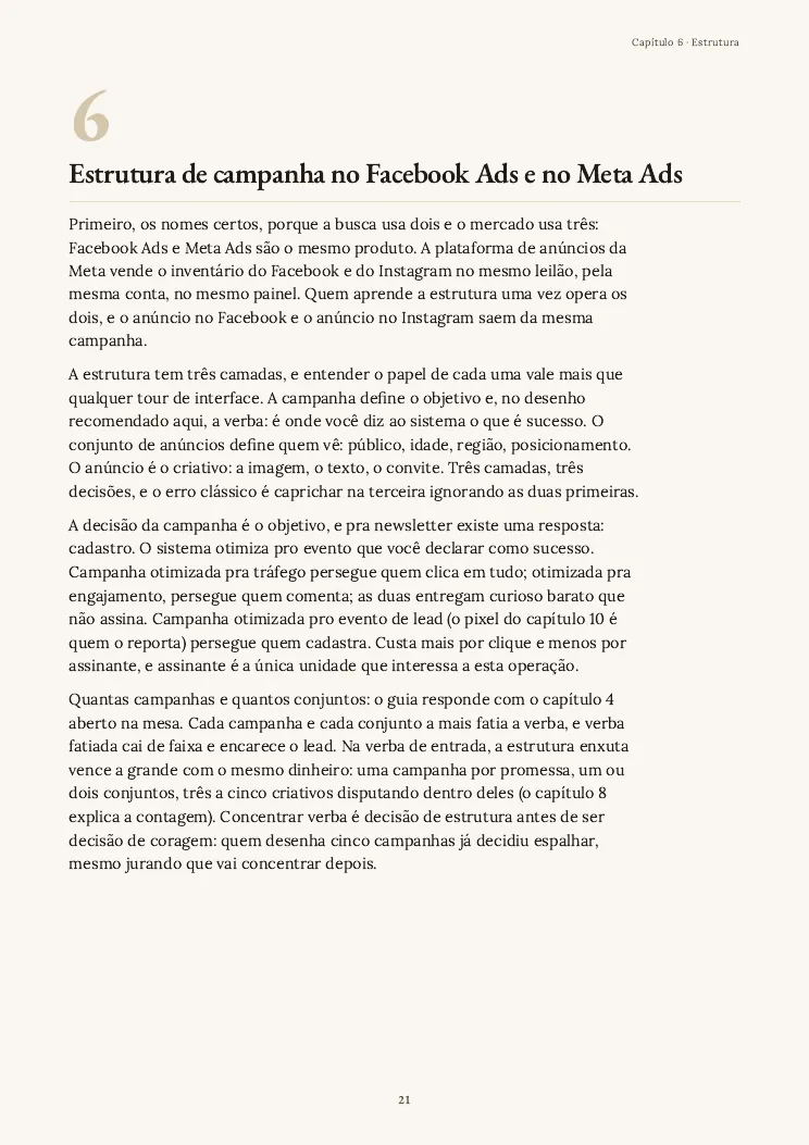 Página 21 do guia Tráfego pago, capítulo 6