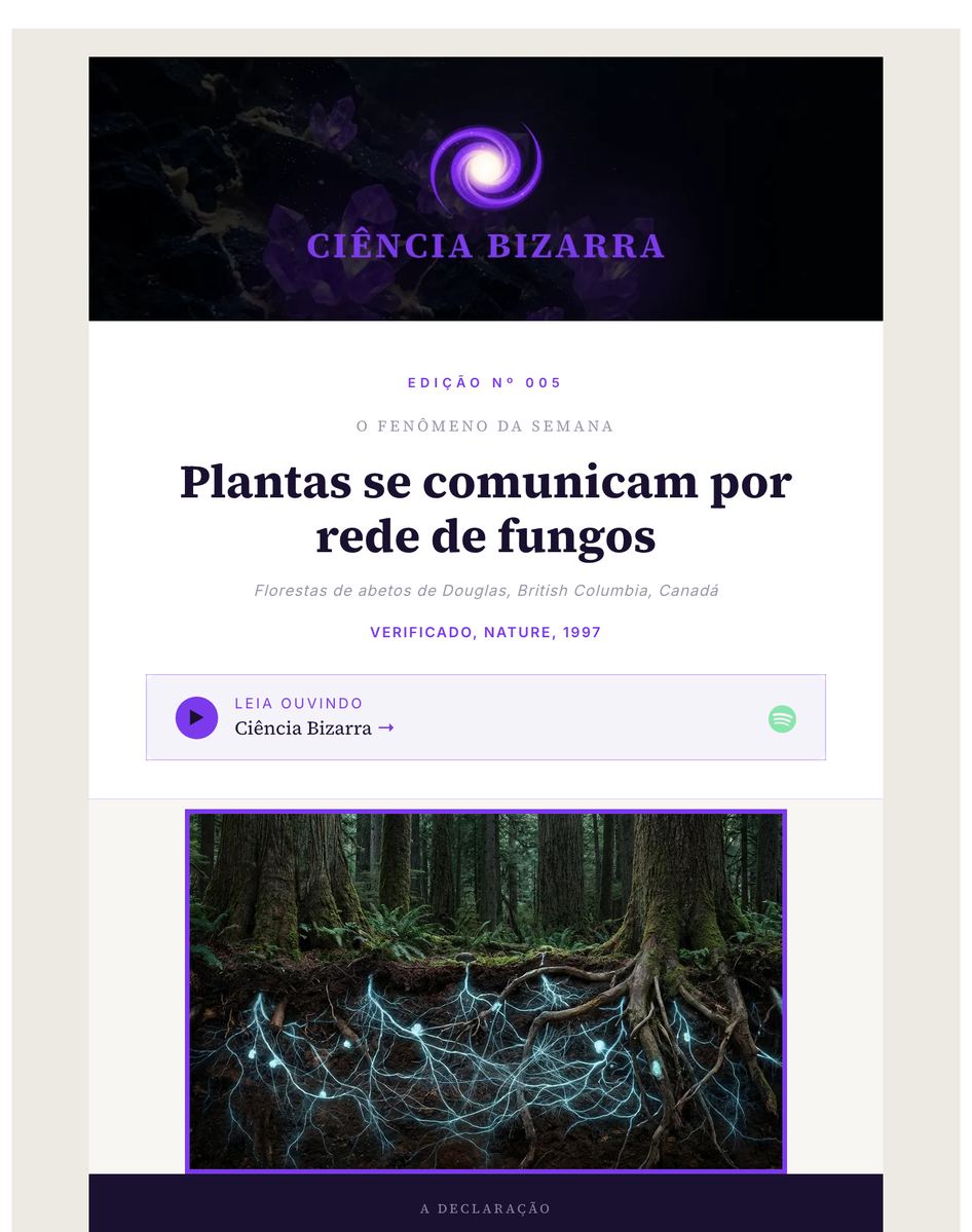 Edição real de uma newsletter da rede