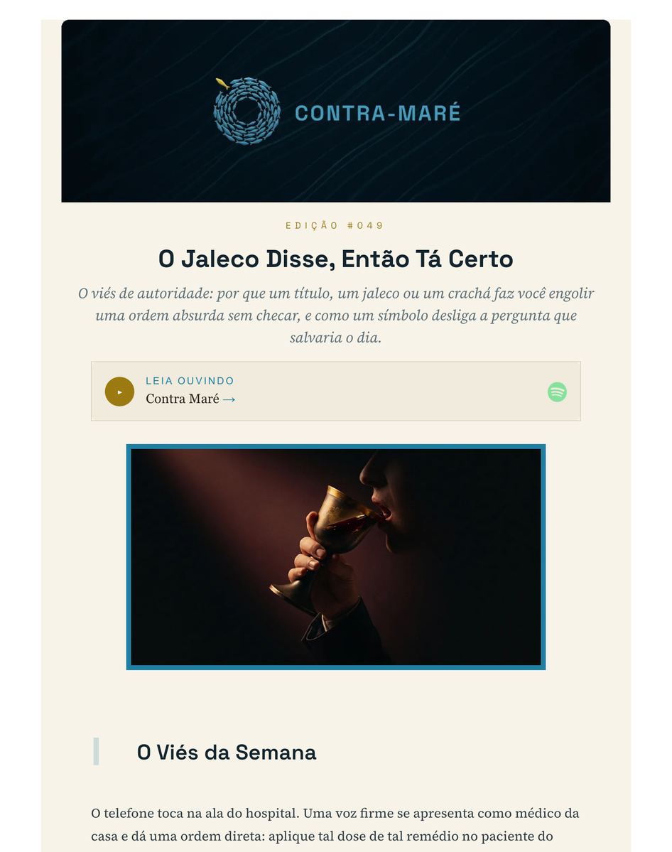 Edição real de uma newsletter da rede